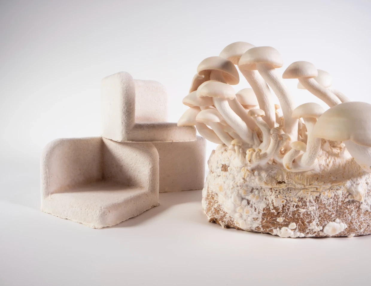 Mycelium Materials